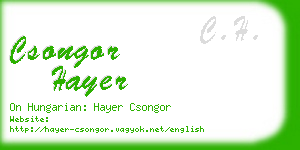 csongor hayer business card